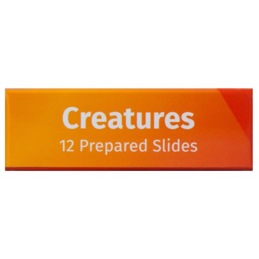 Levenhuk LabZZ C12 Élőlények – előkészített tárgylemez-készlet