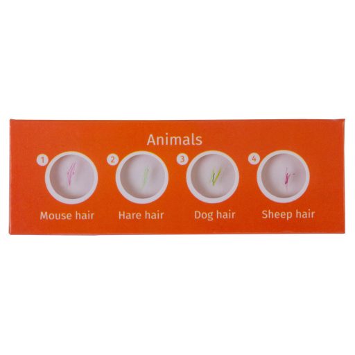 Levenhuk LabZZ C12 Élőlények – előkészített tárgylemez-készlet