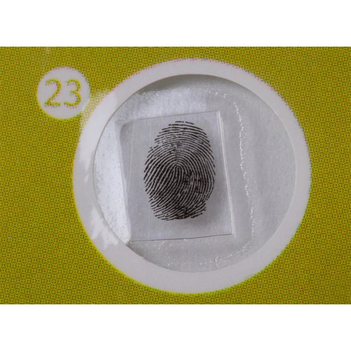 Levenhuk LabZZ P12 Növények – előkészített tárgylemez-készlet