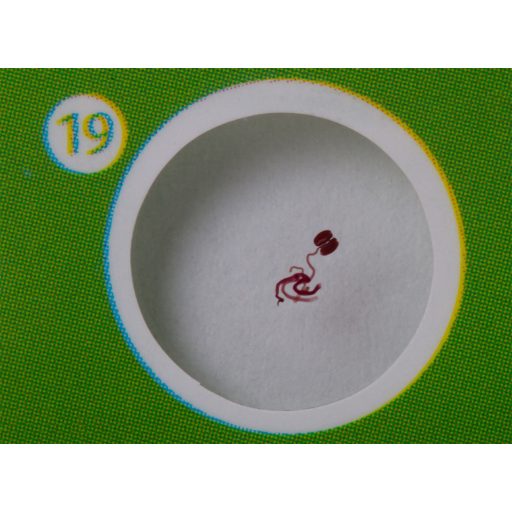 Levenhuk LabZZ P12 Növények – előkészített tárgylemez-készlet