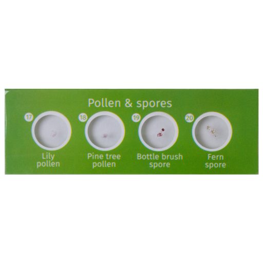 Levenhuk LabZZ P12 Növények – előkészített tárgylemez-készlet