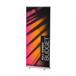  Roll-Up Budget (8DB/CSOM)